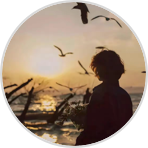 用户评价-旅行音乐盒